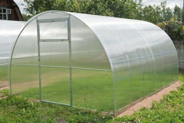 Стільниковий чи монолітний полікарбонат для теплиці